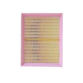 Filtro de Aire del Motor Rich 6 